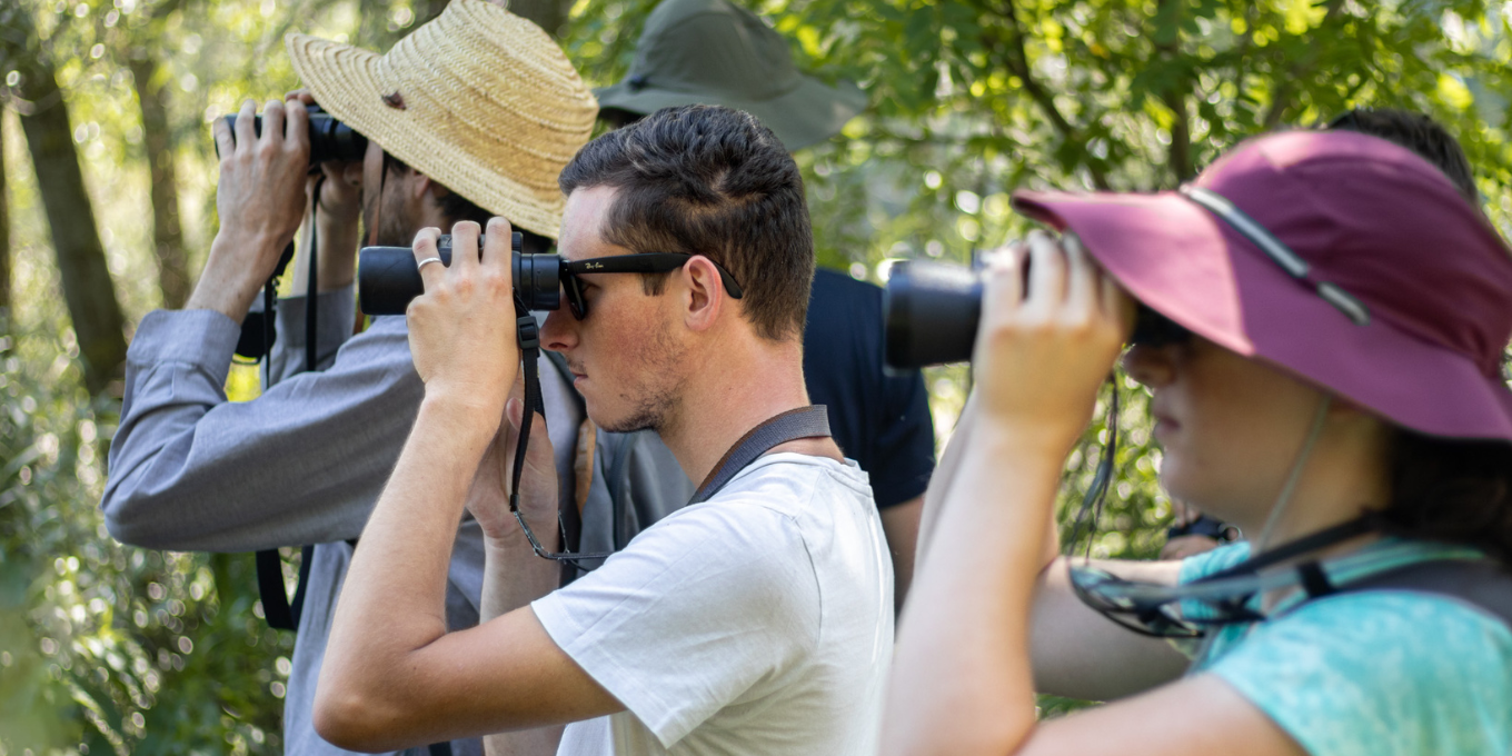 Prospection de reptiles et d'amphibiens vers Toucy